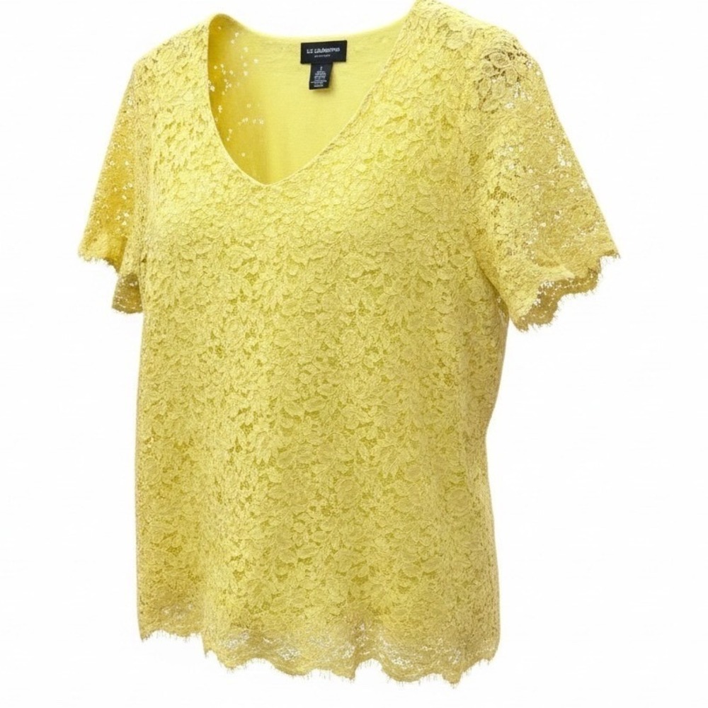 Floral Lace V-Neck Large Top Short Sleeve Scalloped Lined Blouse‎ Romantic Fairy